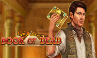 Book of Dead automatu online